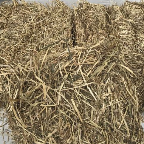 Fibre select premium ryegrass hay