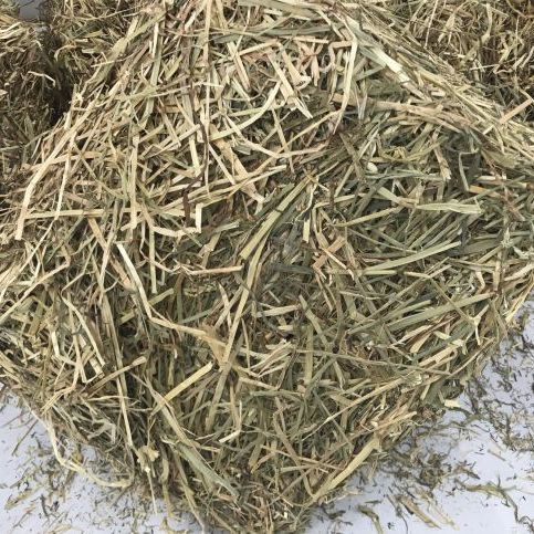Fibre select rye grass / Timothy blend Hay Hay